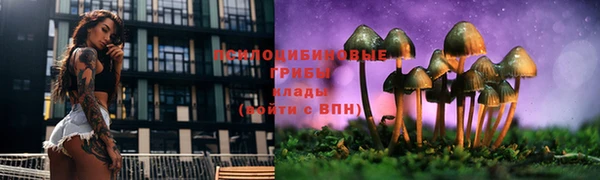 а пвп мука Алексеевка