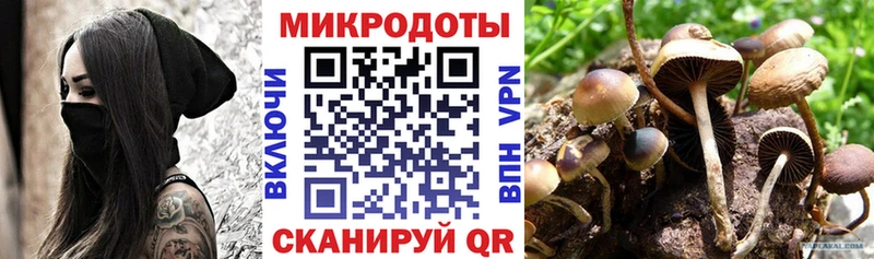 Галлюциногенные грибы Psilocybine cubensis  нарко площадка Telegram  Тольятти 
